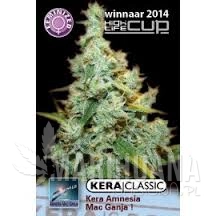 Amnesia Mac Ganja - KERA SEEDS