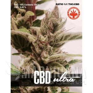 CBD Ultra - PURE SEEDS