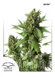 Auto Duck® - DUTCH PASSION