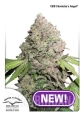 cca.jpg