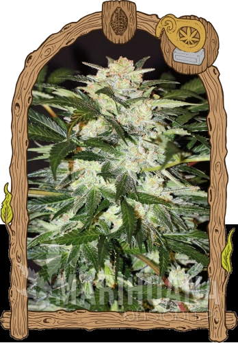 monstermash_b_940x1350.png