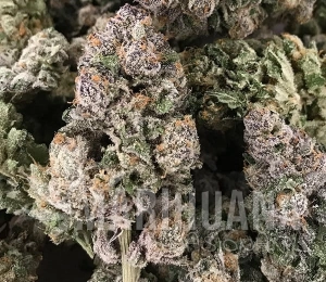 Dark Ghost Train - RARE DANKNESS