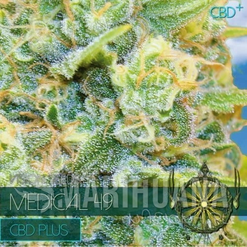 vision-seeds-medical-49-500x500-1.jpg