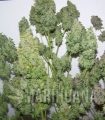 Auto White Widow XXL(2).jpg
