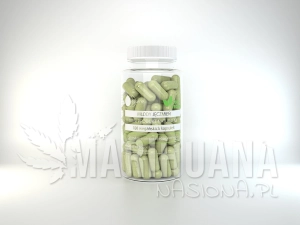 Naturalny młody jęczmień 100 szt.