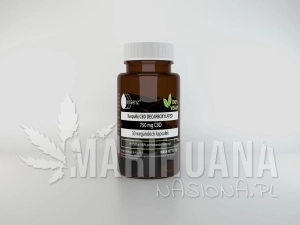 Kapsułki CBD z olejem konopnym 750 mg