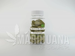 Kwiaty konopi CBD w kapsułkach 30 szt