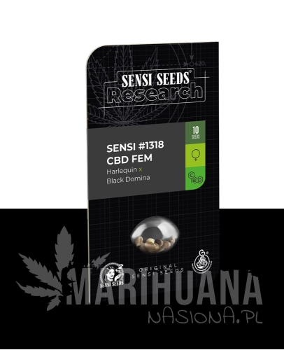 sensi-1318-cbd-xl-2.png