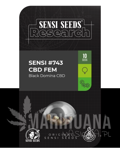 Sensi #743 CBD.png