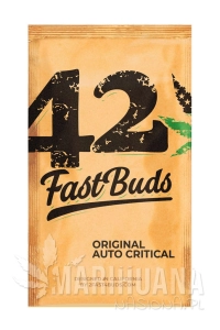 Original Auto Critical - FASTBUDS