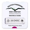 Auto-Desfran-dutch-passion-3.jpg