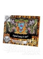 crystal_candy_xl_auto_52_pack_web.jpg