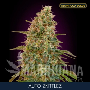 Auto Zkittlez - ADVANCED SEEDS