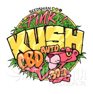 Pink Kush CBD 30:1 Auto - SEEDSMAN