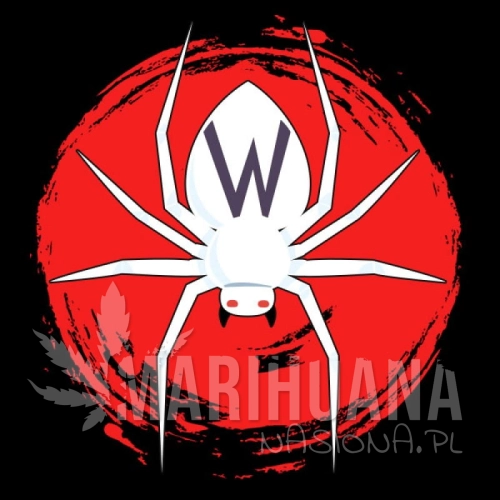 sms-white-widow-original-auto.jpg