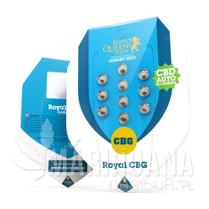 Royal CBG Auto - ROYAL QUEEN SEEDS